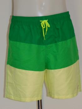 Shiwi Men's Complexion Green Swimshort
