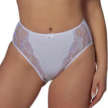 Elbrina Johanna White Brief