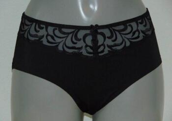 Triumph Modern Finesse Black Brief