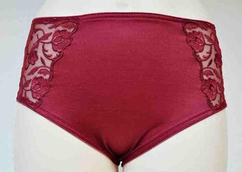 Felina Moments Red Brief
