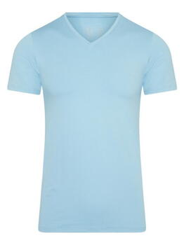 RJ Bodywear Men Pure Color  Baby Blue Shirt