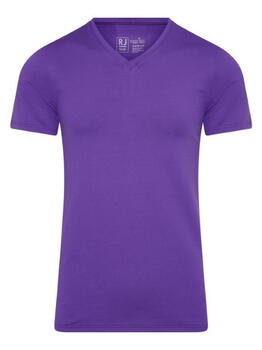 RJ Bodywear Men Pure Color  Purple Shirt