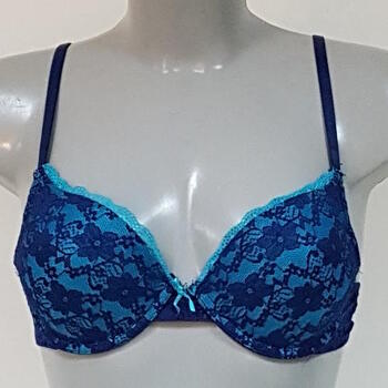 Elbrina Blossom Blue Push Up bra