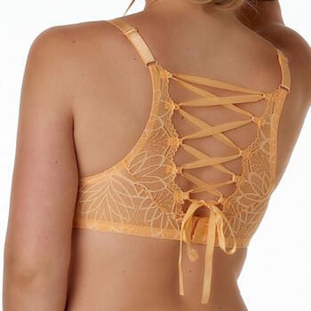 After Eden D-Cup & Up Febe Peach Padded Bra