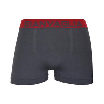 Gianvaglia Loyd Grey Sport Boxershort