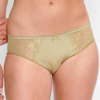 LingaDore Daily Basic  Brief