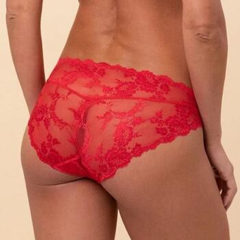 Royal Lounge Dream Scarlet Red Short