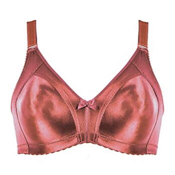 Naturana Minimizer Coral Wireless Bra