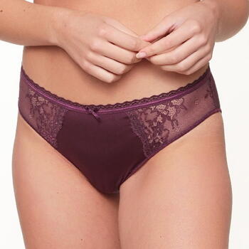 LingaDore Daily Basic  Brief