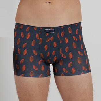 Tom Tailor Autumn Grey/Orange Sport Boxershort