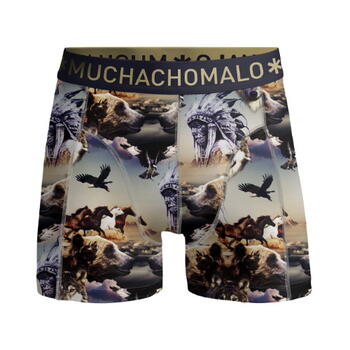 Muchachomalo Bear Multicolor/Print Boys Boxershort
