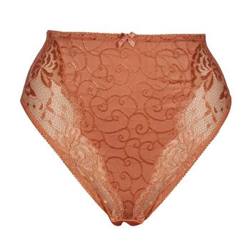Elbrina Johanna Orange High Waist Brief