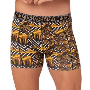 Muchachomalo Myth Egyptian Black/Gold Boxer Short