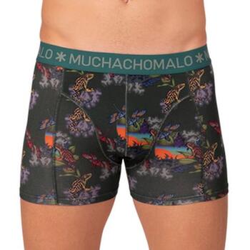 Muchachomalo Frogger Green/Print Modal Boxershort