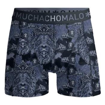 Muchachomalo Lion Blue/Print Boxer Short