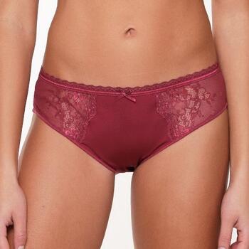 LingaDore Daily Basic Port Brief