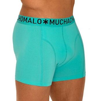 Muchachomalo Light Cotton Solid Aqua Boxer Short