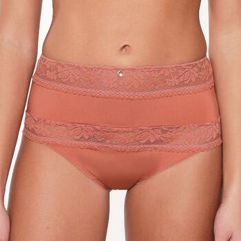 LingaDore Ginger Bread Brown High Waist Brief
