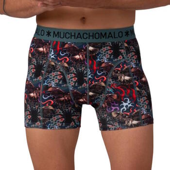 Muchachomalo Raptor Green/Print Boxer Short