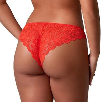 After Eden Daimy Orange Brazilian