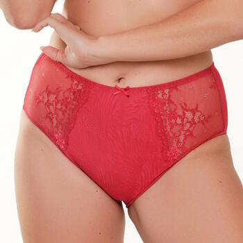 LingaDore Daily Maxi Slip  High Waist Brief