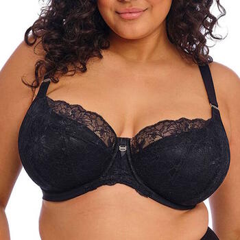 Elomi Brianna Black Padded Bra
