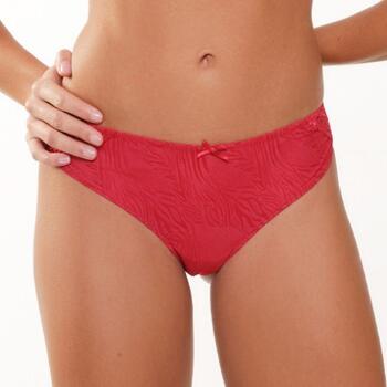 LingaDore Daily Basic  Brief