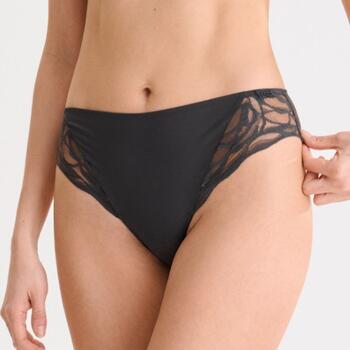 Lisca River Anthracite Brief