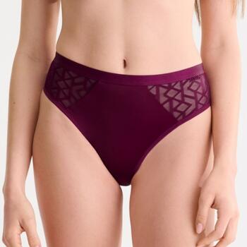 Lisca Opal Magenta Brief