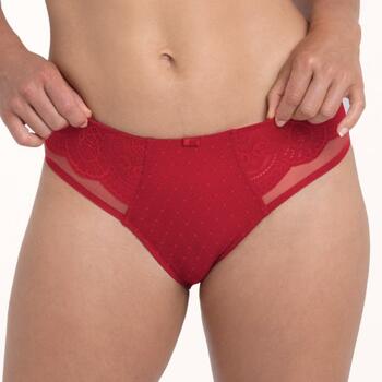 Rosa Faia Selma Red Brief