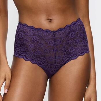 Triumph Amourette Purple Brief