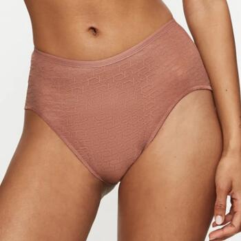 Triumph Signature Sheer Brown High Waist Brief
