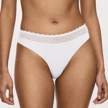 Triumph Feel of Modal White Thong