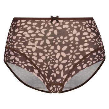 RJ Bodywear Fashion Brown High Waist Brief