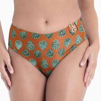 Rosa Faia Swimwear Mera Brown Bikini Brief