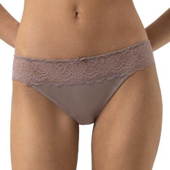 Mey Lingerie Amorous Brown Brief