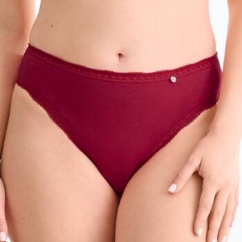 Lisca Everyday Bordeaux Brief