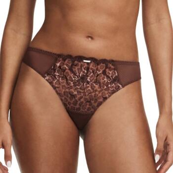 Chantelle Fleurs Brown Brazilian