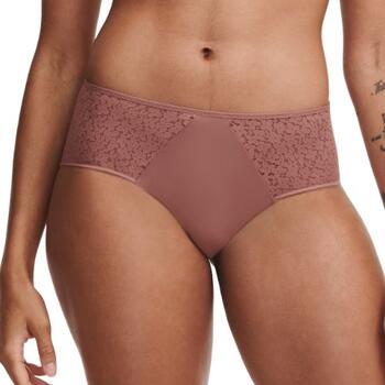 Chantelle Norah Brown Short