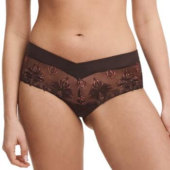 Chantelle Champ Elysees Brown Short