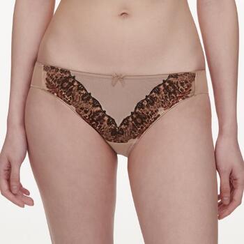 Chantelle Champ Elysees Brown Brief