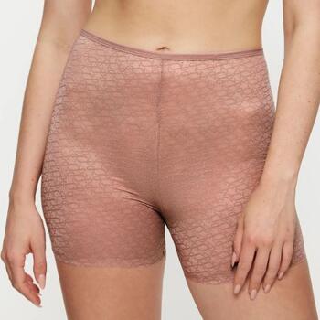 Triumph Signature Sheer Brown Short