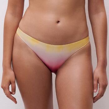 Chantelle Swimwear Metallic Multicolor Bikini Brief