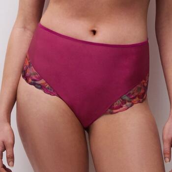 Chantelle Lily Fuchsia High Waist Brief