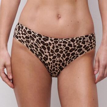 Chantelle SoftStretch Brown/Print Brief