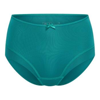 RJ Bodywear Pure Color Aqua High Waist Brief