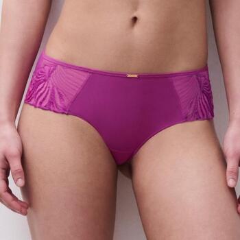 Chantelle Legend Orchid Short
