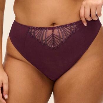 Elomi Reja Purple Brazilian