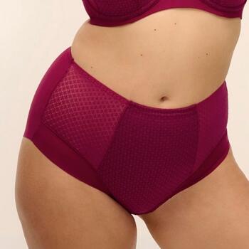 Fantasy Lingerie Evolution Ruby High Waist Brief