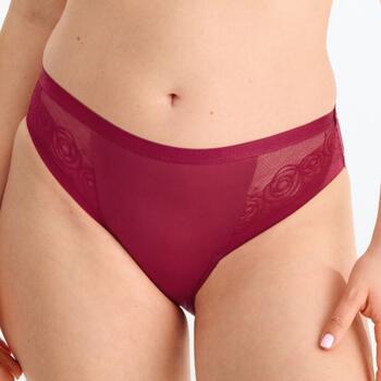 Lisca Ruby Red Brief